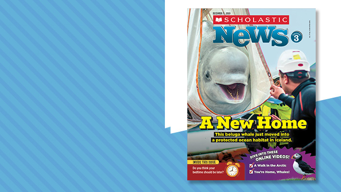 Home | Scholastic News 3