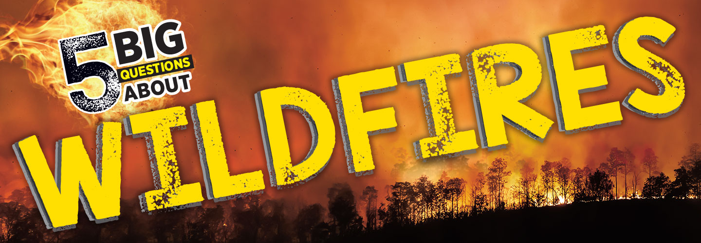 Image of a wildfire. Text reads: 5 Big Questions About Wildfires