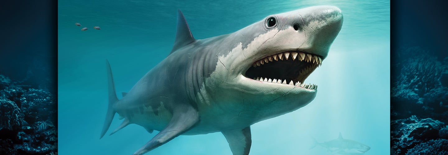 Digital illustration of megalodon shark swimming through the water